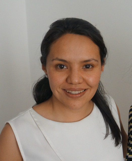 Community manager