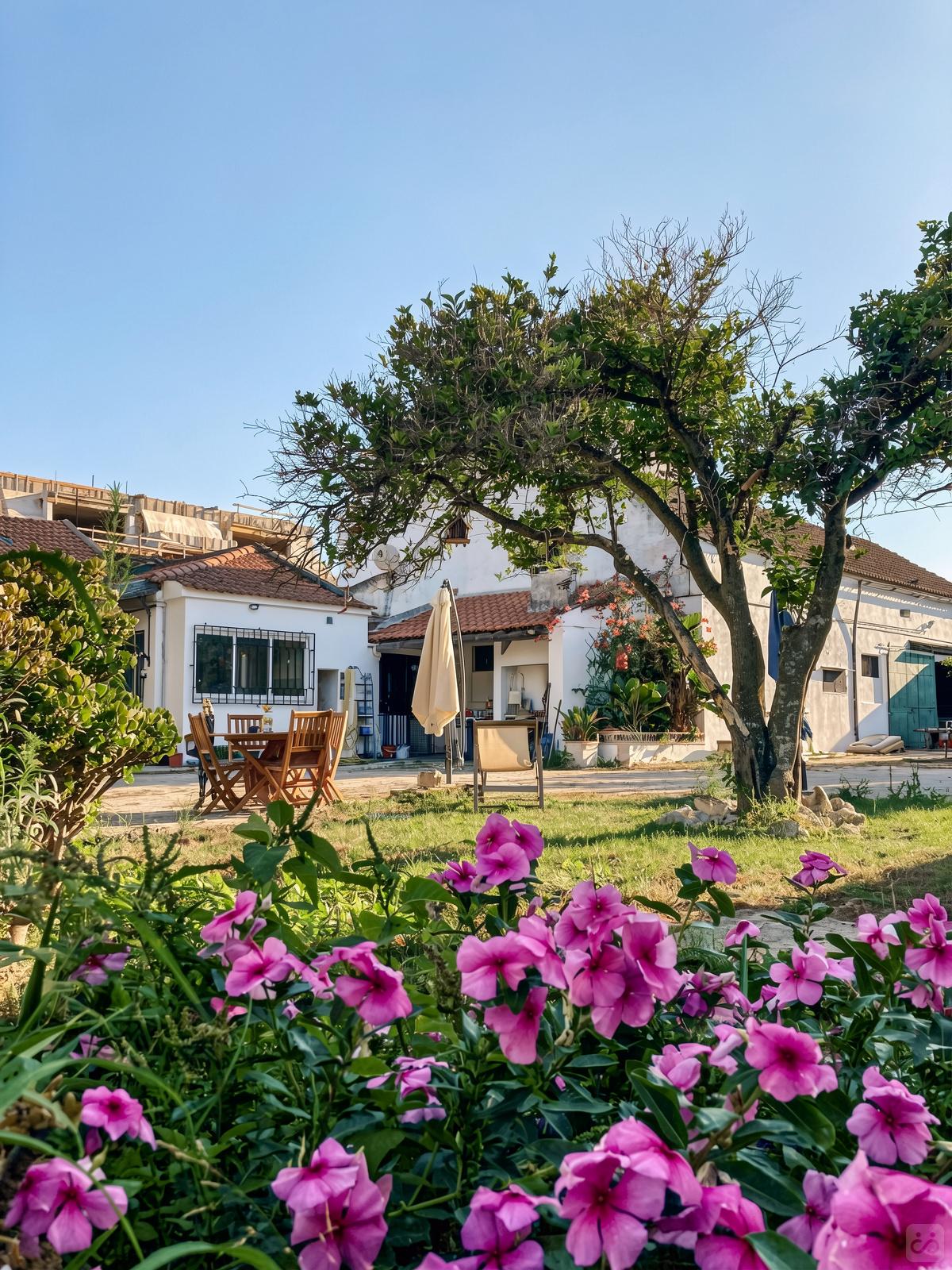 Joaquim De Almeida Home