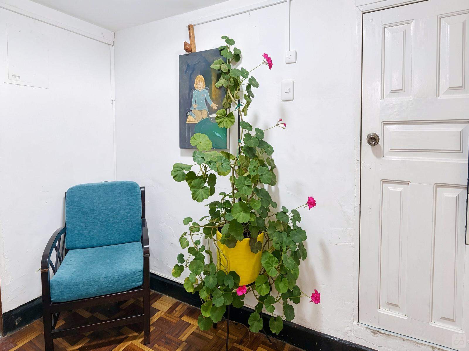 Die Komfortables Coliving House in Quito mit Frühstück. Residenz