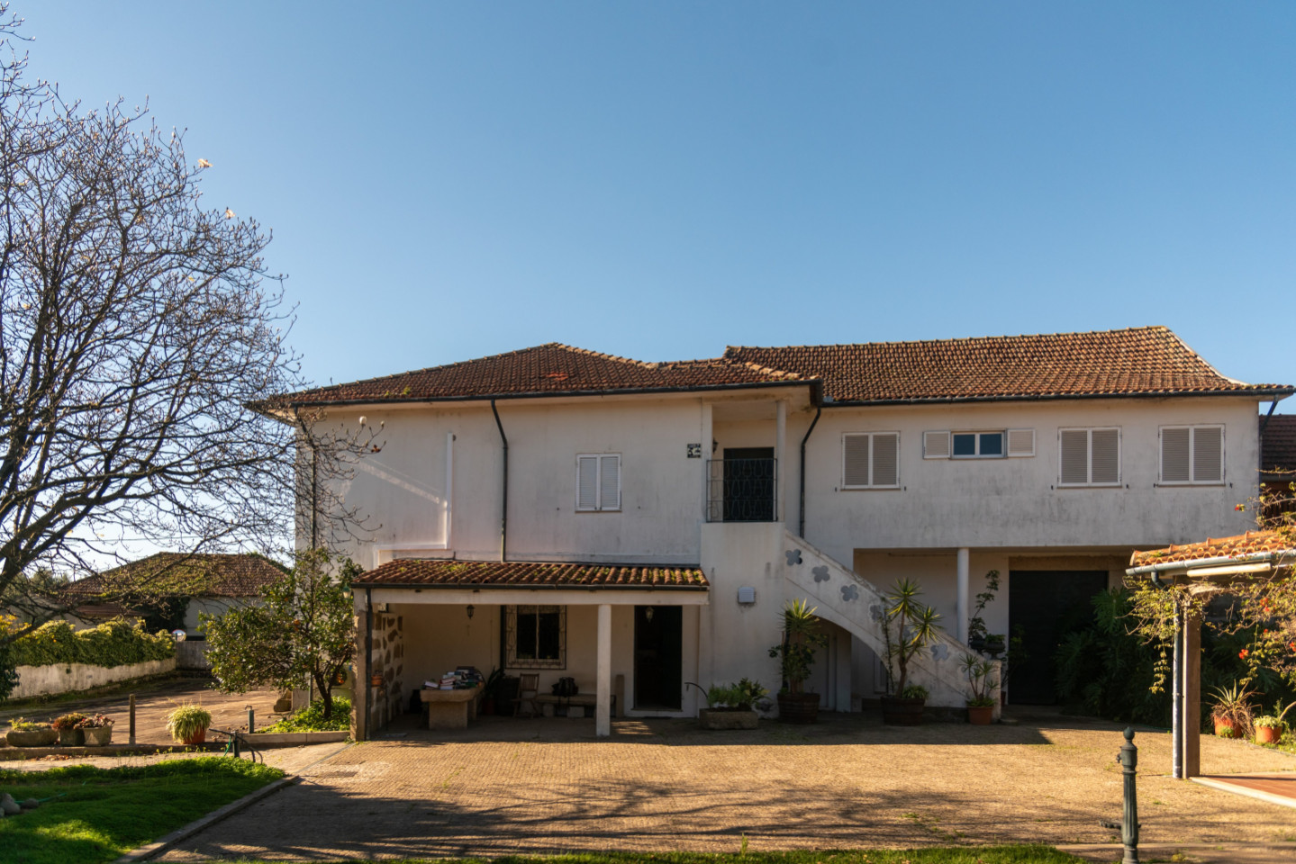 Adelino Amaro Da Costa Home