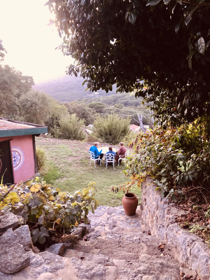 Semedeiro Home