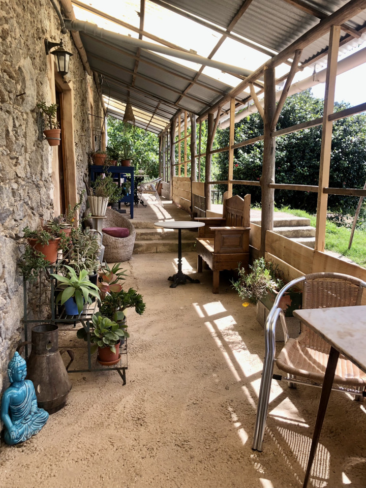 Semedeiro Home