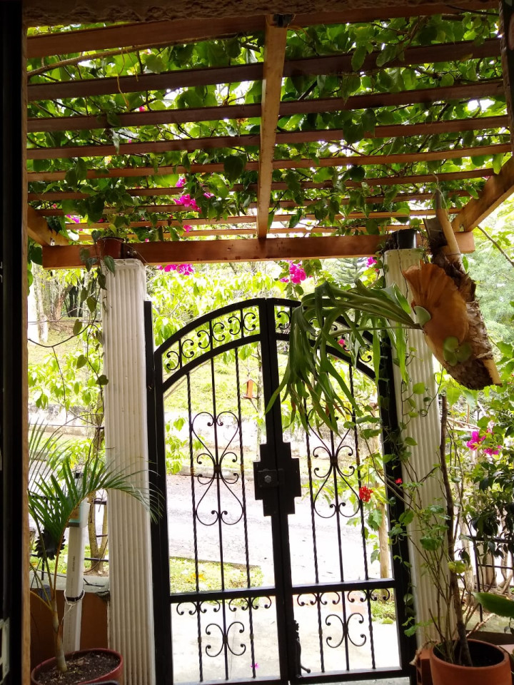 Guayabal Home