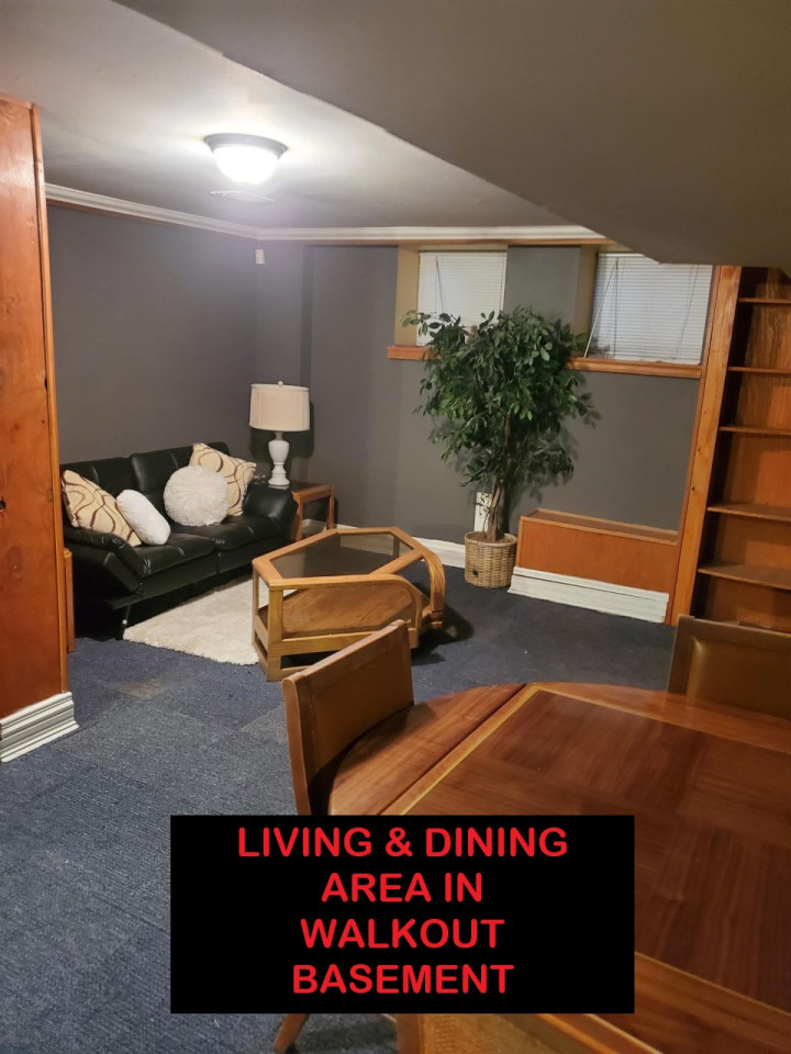 Page Home