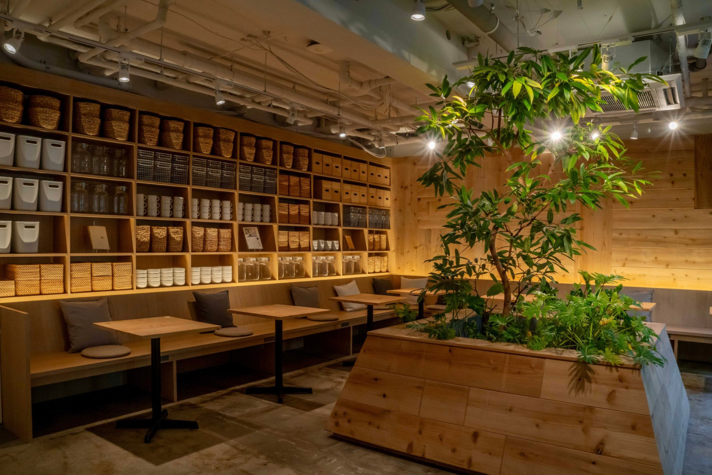 Iwaicho Collective