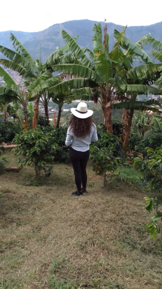 La Parque Arví Maison