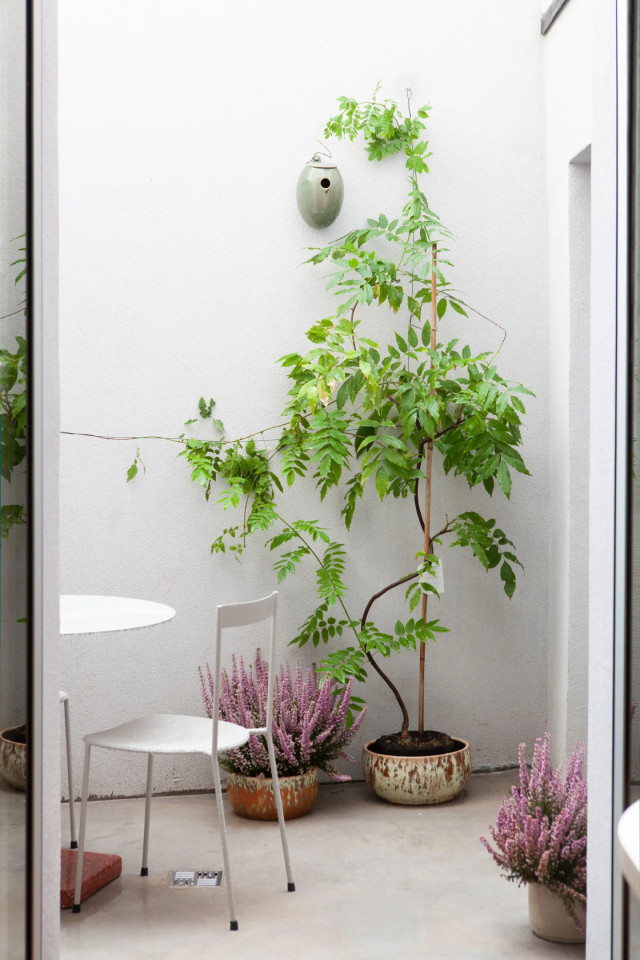 La Casa moderna con terraza soleada en Fernand-Cocq, Ixelles