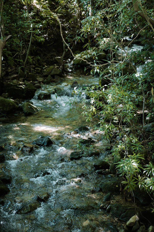 La Yakushima Residenza