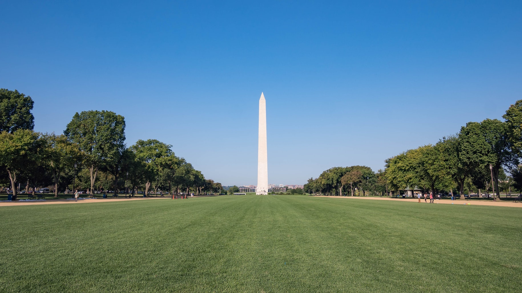 Case ammobiliate in Washington DC