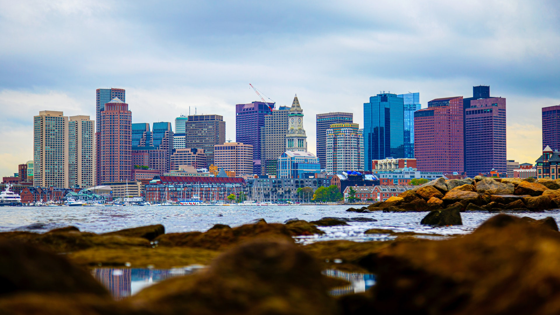 Case ammobiliate in Boston