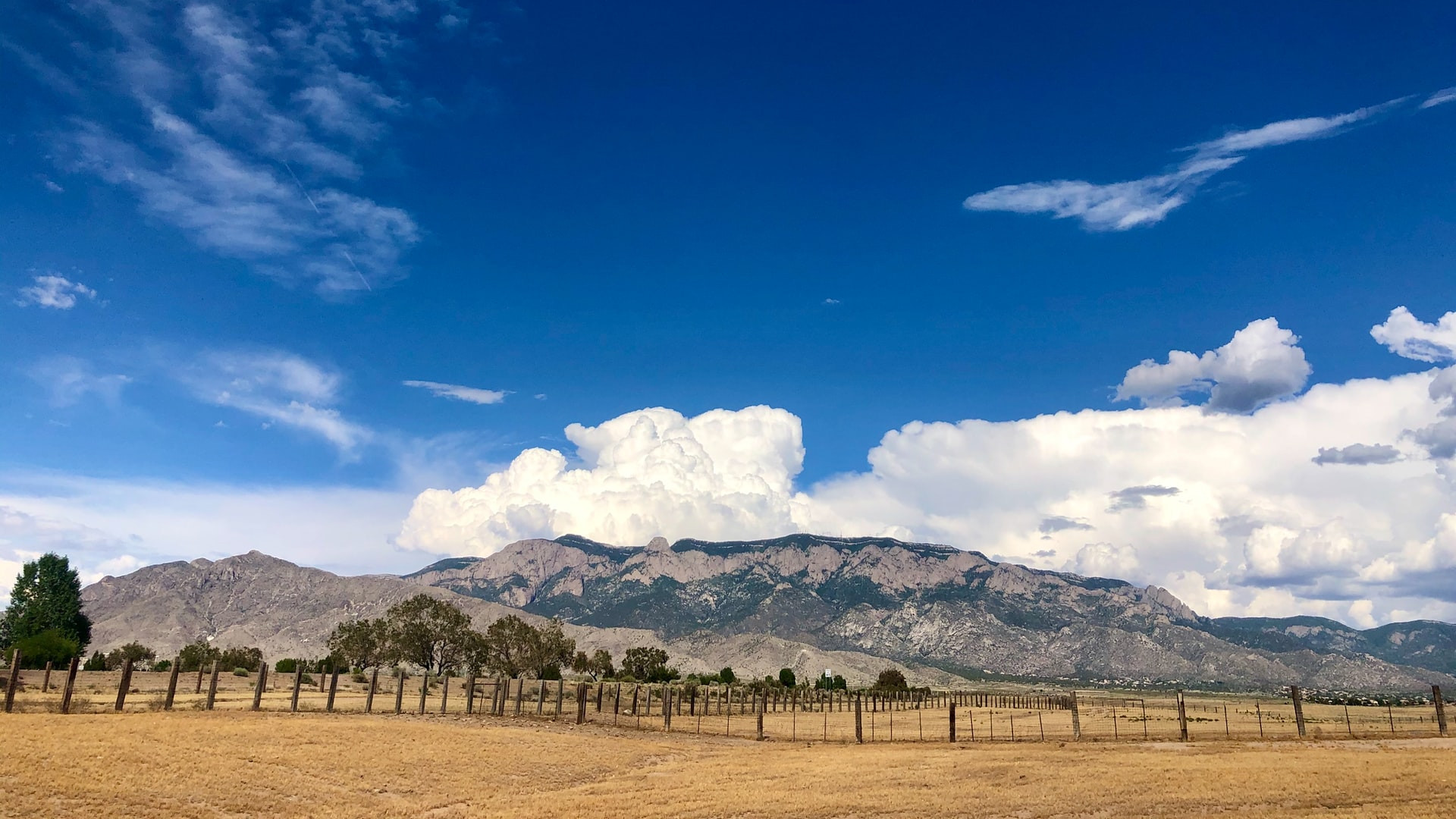 Albuquerque