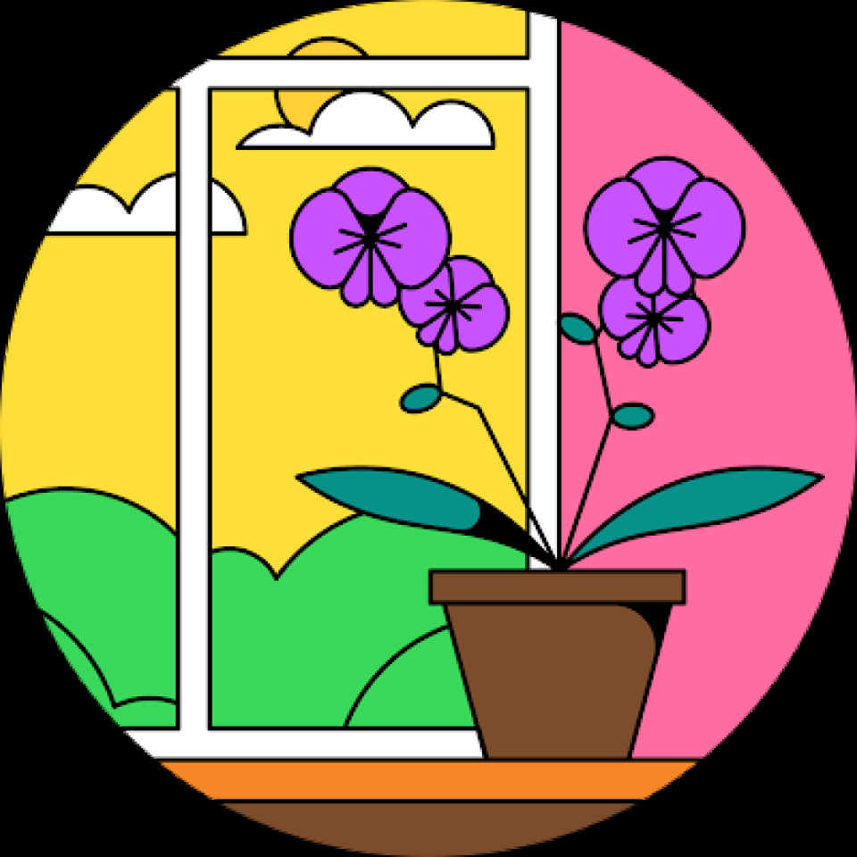 Jade T