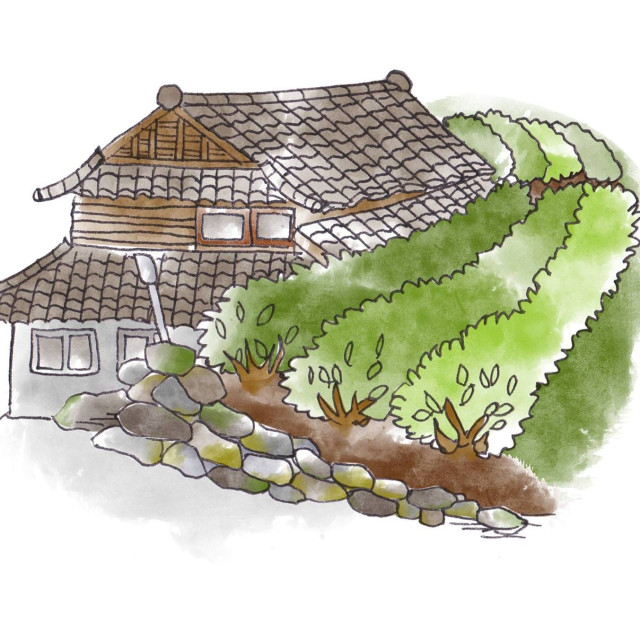 Sky Tea House 天空の茶屋敷