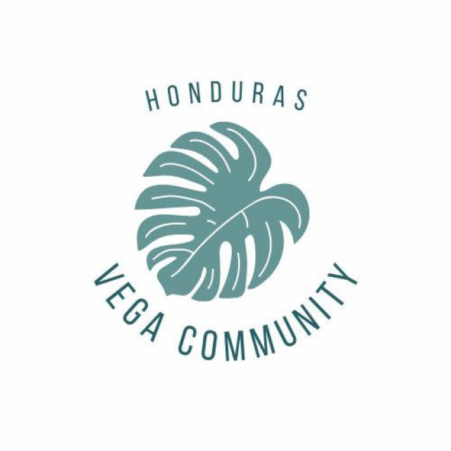 Vega Community